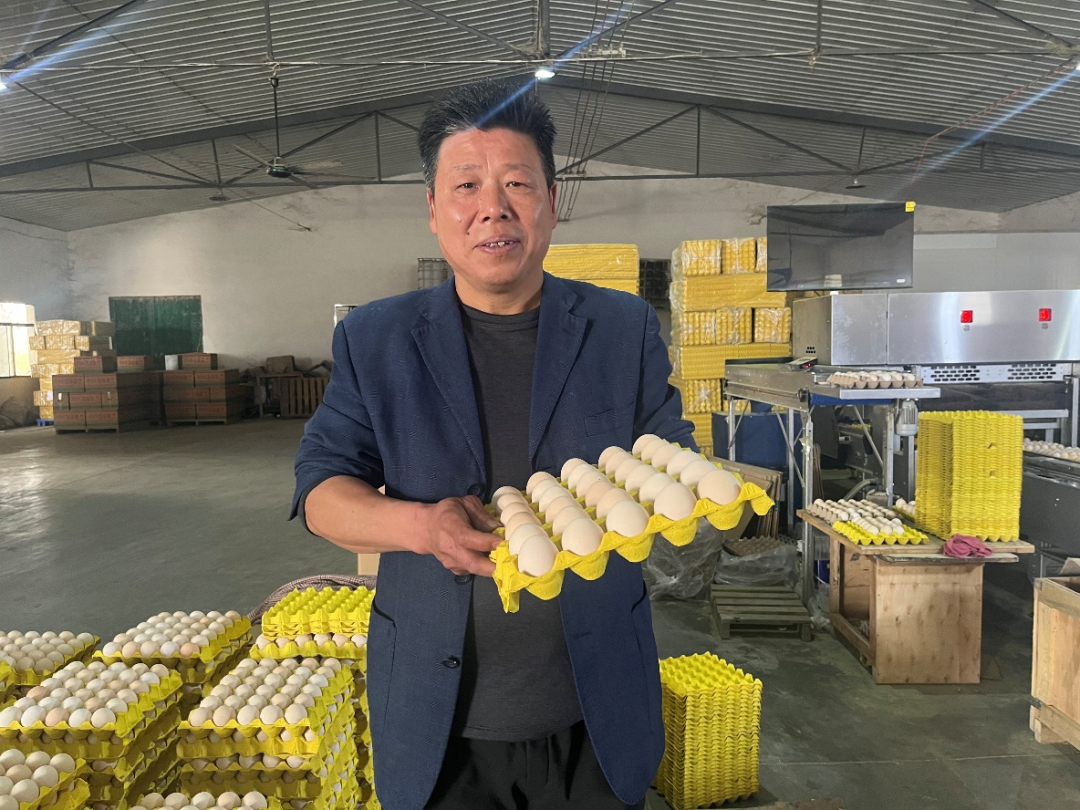 黃岡團(tuán)風(fēng)：返鄉(xiāng)創(chuàng)業(yè)十二載 荒山孵出＂金雞蛋＂